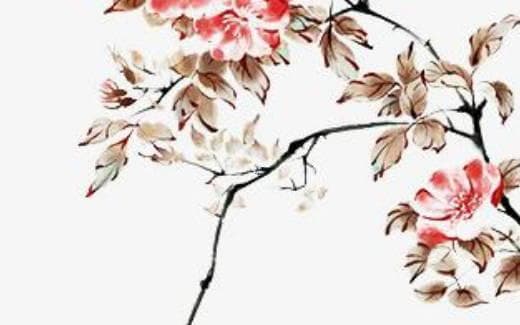 八字排盘的基本概念详解 八字排盘怎么使用