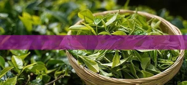 银器冲泡普洱茶的利弊及正确方法：探讨适用性与影响