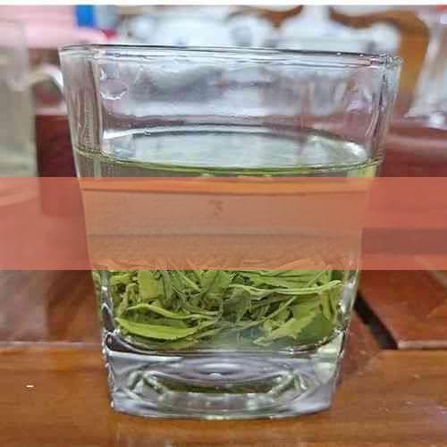 白茶普洱的健康益处与多重功效