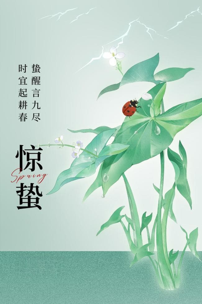 【节气里的大美中国】惊蛰｜万物复苏，万物可期