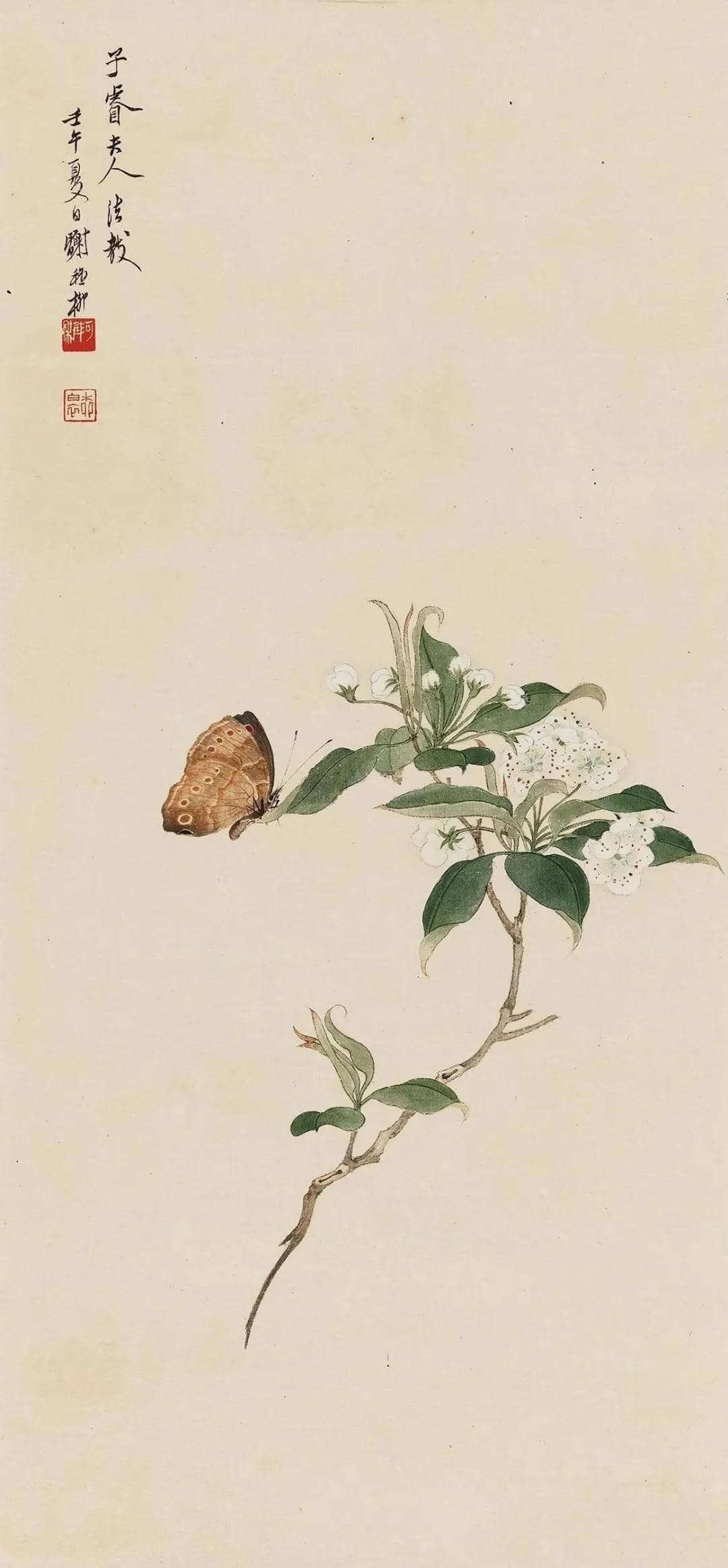历代名家笔下的蝴蝶，色彩斑斓，吉祥美好！