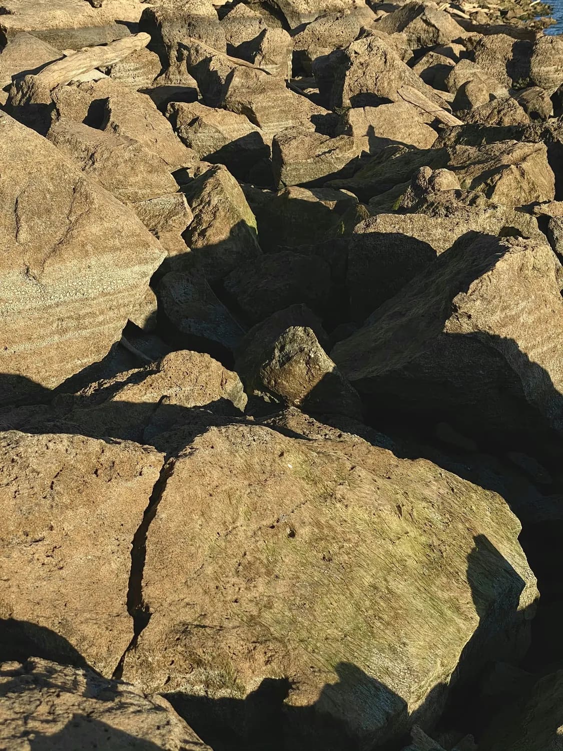 硇洲岛：南海火山岩探秘之旅