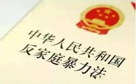 保护令暴涨 8 倍：反家暴法9年，如何从 “纸上谈兵” 到 “实战保卫”