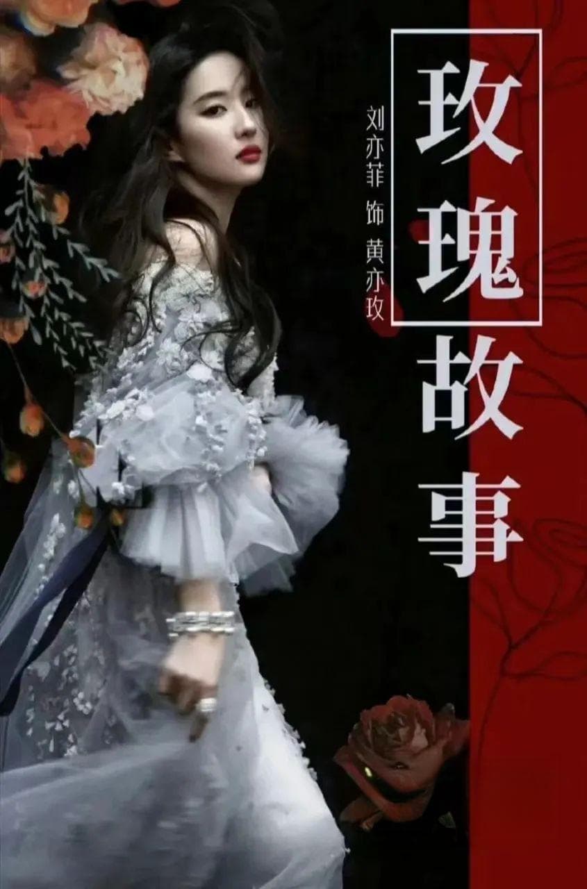 从《玫瑰的故事》看八大类消费支出如何记账