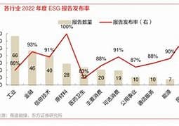 提升信息披露透明度与可比度的重要性及防止“漂绿现象”发生的建议
