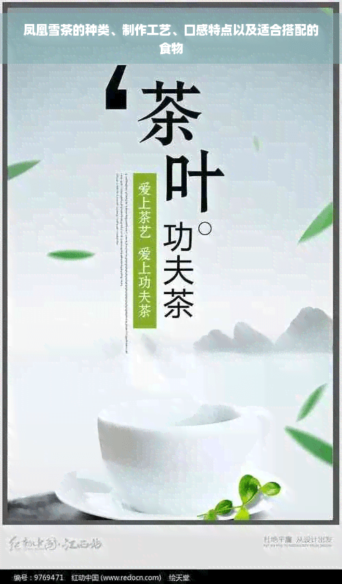 凤凰雪茶：从种类到搭配，品味广东乌龙茶的独特魅力