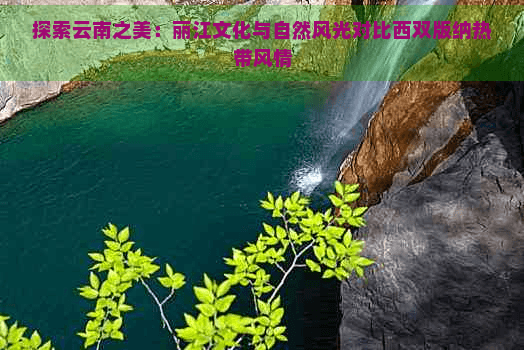 探索云南之美：丽江文化与自然风光对比西双版纳热带风情