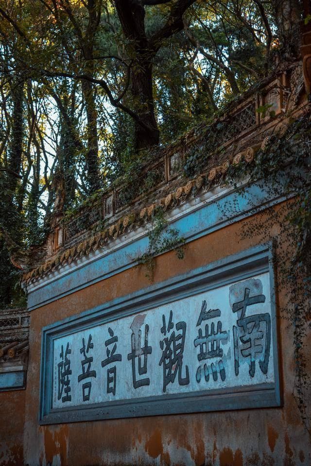 舟山普陀山之旅：感受佛教文化，领略海岛风光！