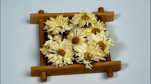 胎菊泡水喝的功效