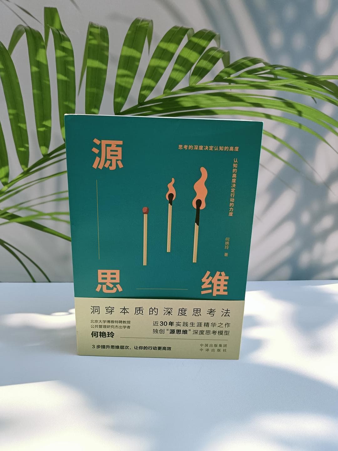 源思维：洞穿本质的深度思考法