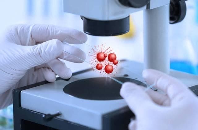 澳大利亚科学家研发新型载药3D打印薄膜：“剿灭”癌细胞，癌症治疗的新里程碑