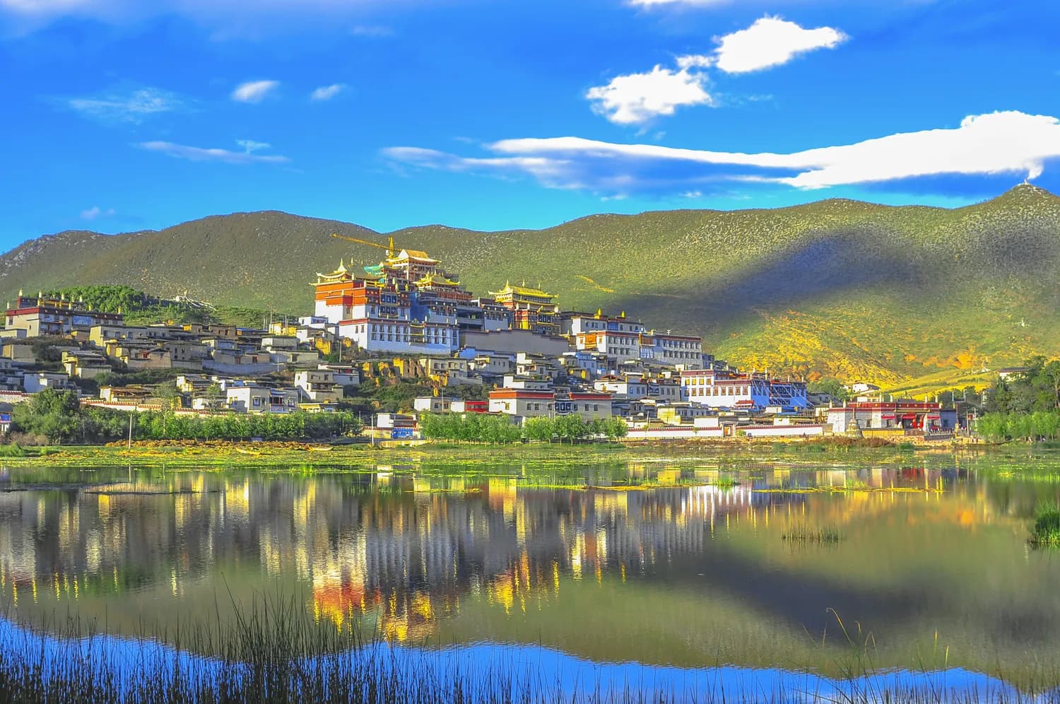 云南旅游热，滇菜成打卡必备