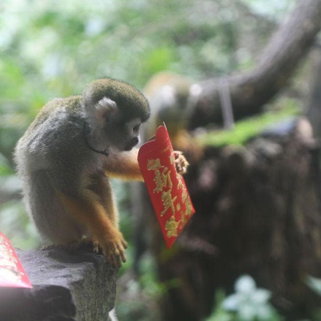 别当过年时问东问西的长辈，10大原则让你避免成为「春节症候群」受害者与加害者