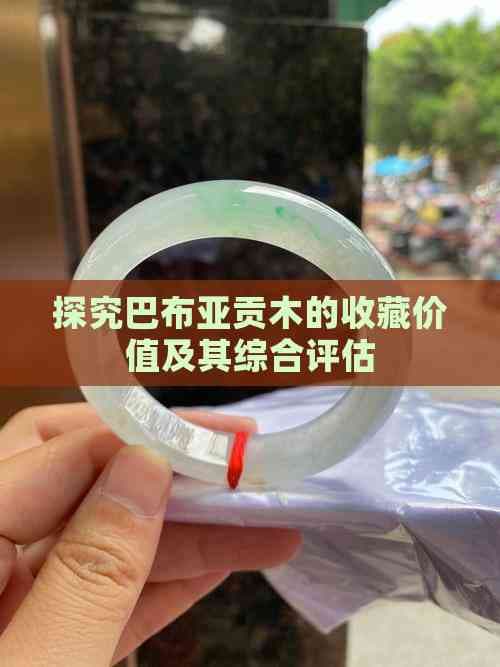 探究巴布亚贡木的收藏价值及其综合评估