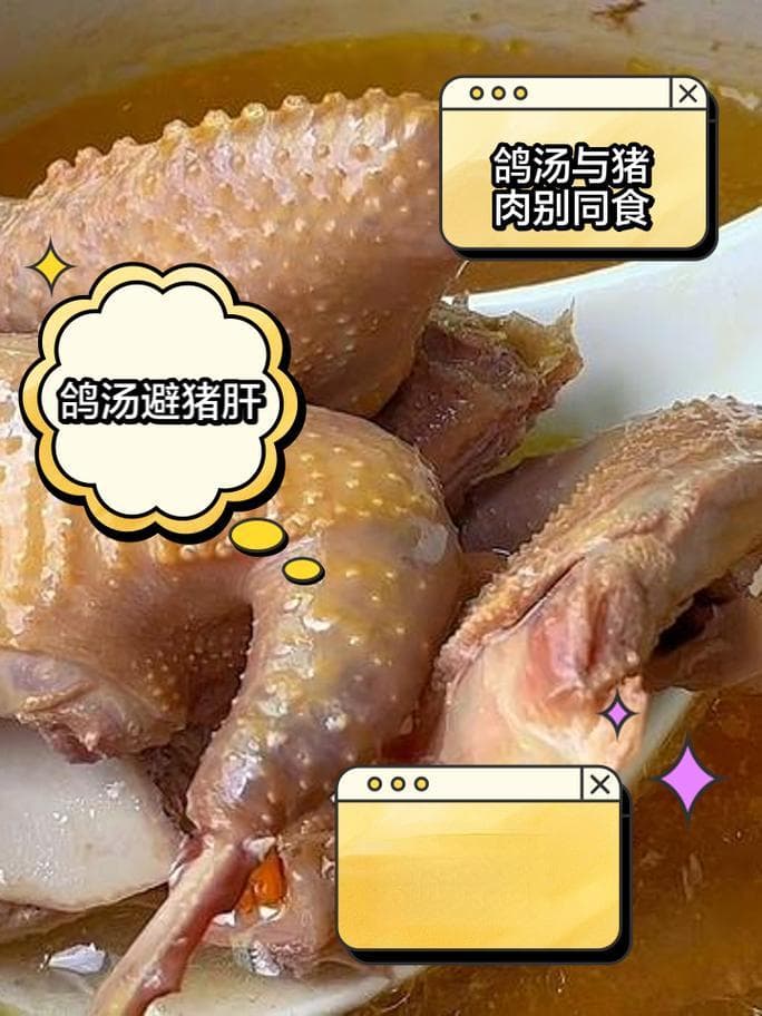 鸽子的营养价值与保健功效详解：为何鸽子肉被誉为大补食物？