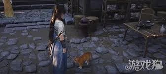 燕云十六声：猫戏不羡仙