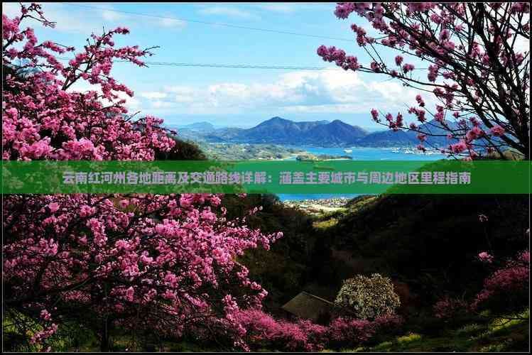 云南红河州各地距离及交通路线详解：涵盖主要城市与周边地区里程指南