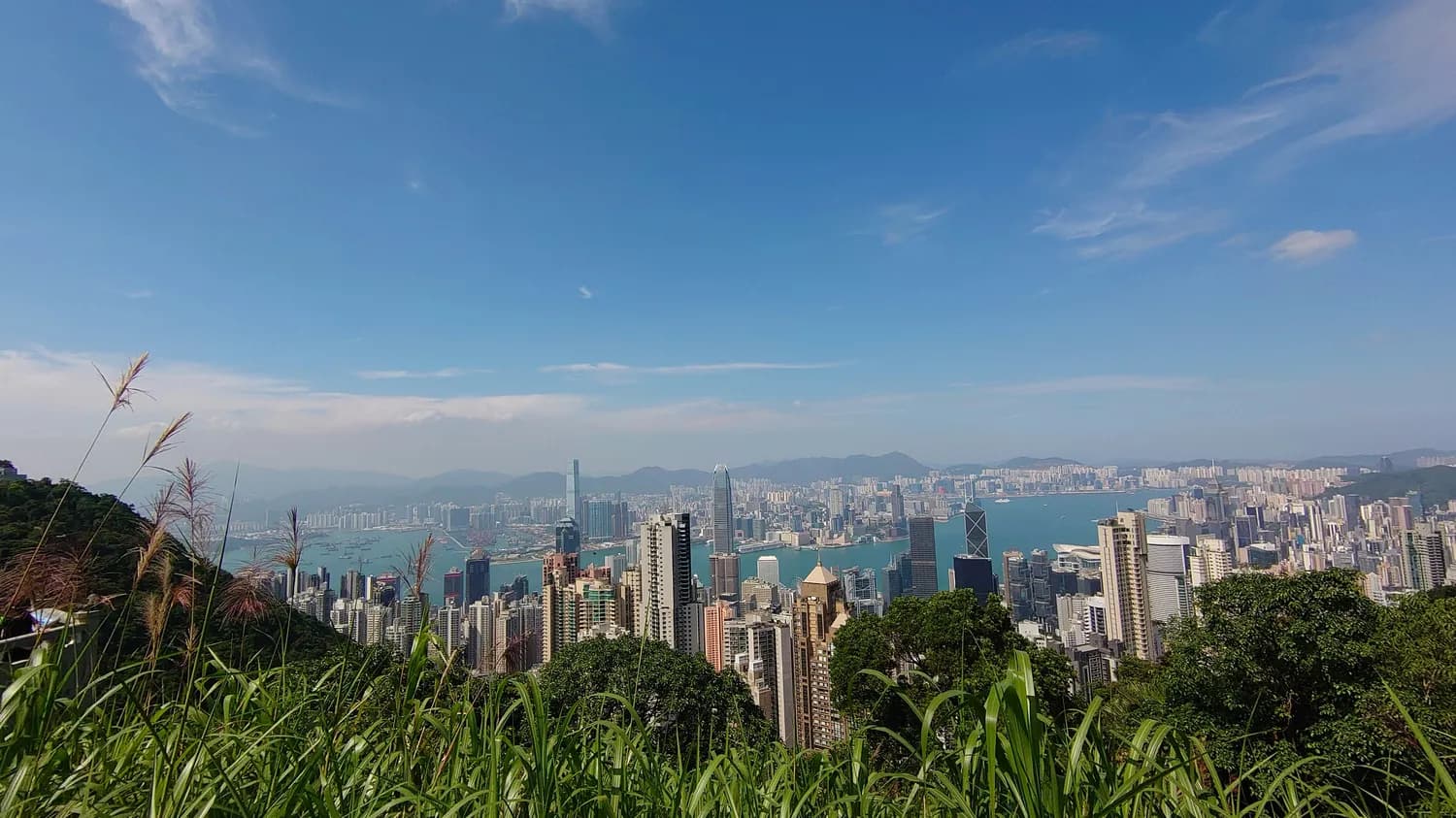 太平山&维多利亚港：香港必打卡摄影胜地