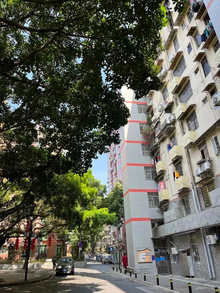 每台电梯补贴15万！广州申报指引公布→
