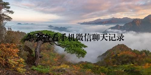 怎么查看手机微信聊天记录