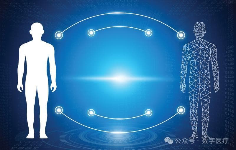 《通过人类数字孪生促进行为改变，增强糖尿病自我管理的个性化》