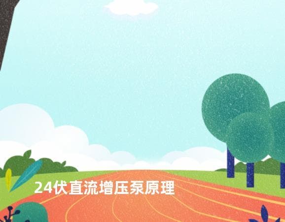 24伏直流增压泵原理