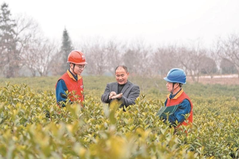 两会新声｜代表委员热议电力，积极发展农村分布式能源