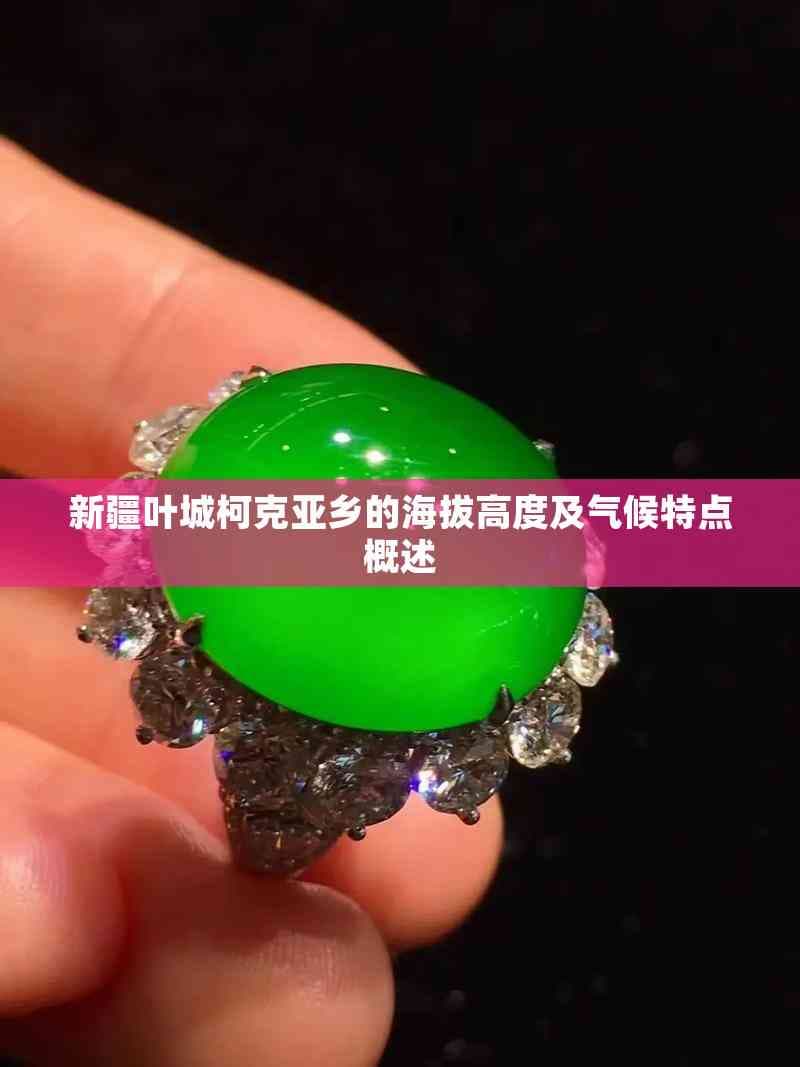 新疆叶城柯克亚乡的海拔高度及气候特点概述