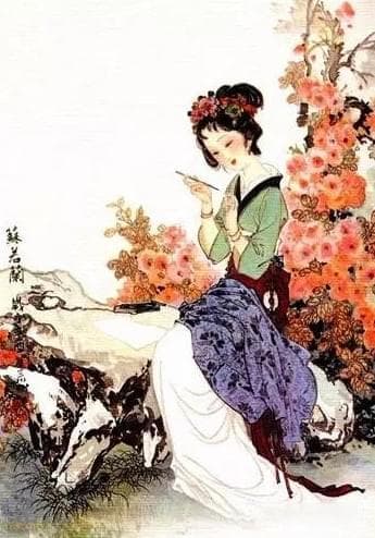 出身书香的苏蕙，因何机缘创作璇玑图？图中藏着怎样的千古谜题？