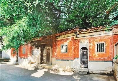 百年古厝焕新姿：梧林村的文旅复兴之路
