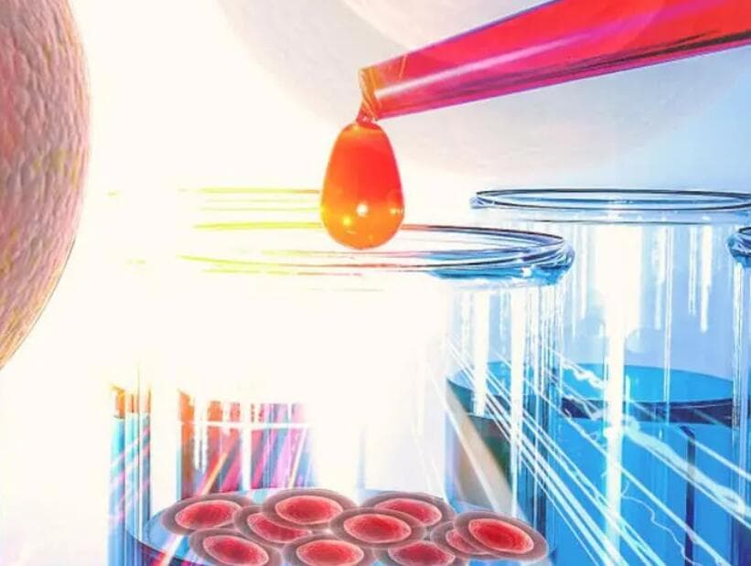 美国干细胞研究：从哈佛突破到临床应用，前景可期