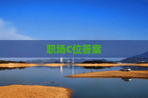 职场C位答案