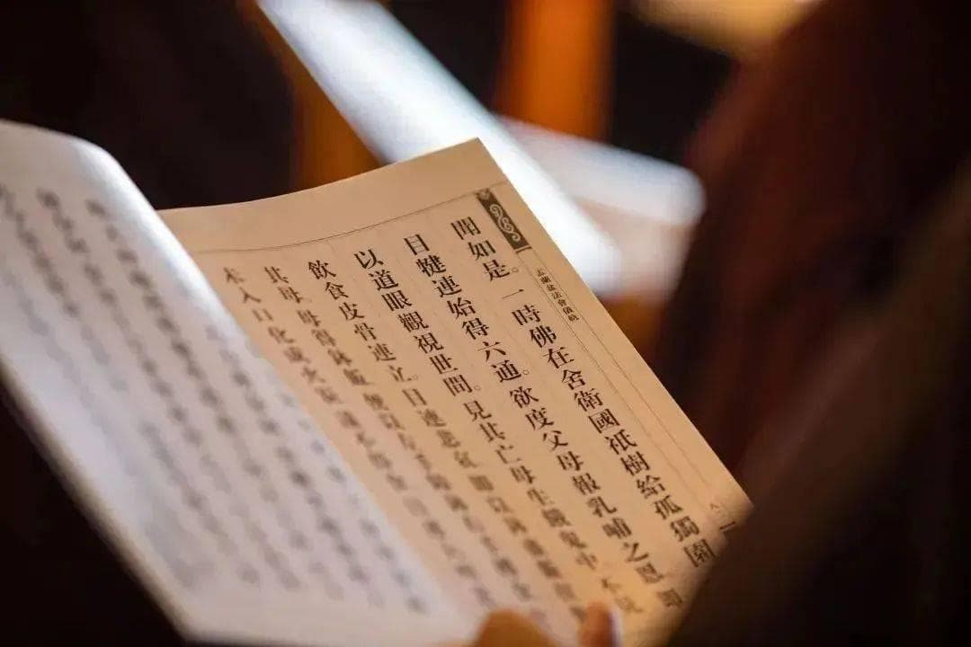 【佛学入门】如何理解佛家的基本概念？