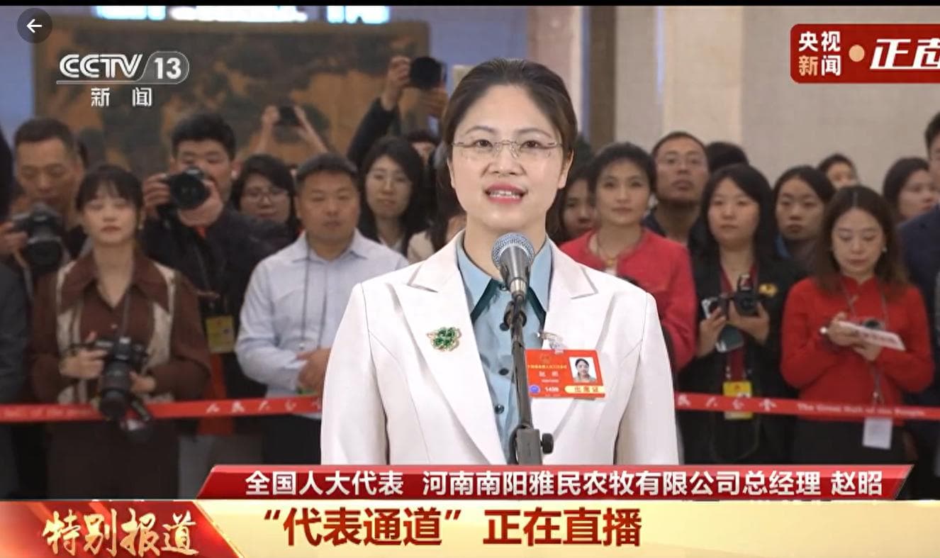 泪目！女大学生毕业回家养4000头牛，在两会的发言让大家看到希望