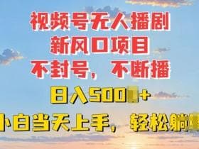 视频号分成计划的冷门赛道：从细分领域突破实现高收益