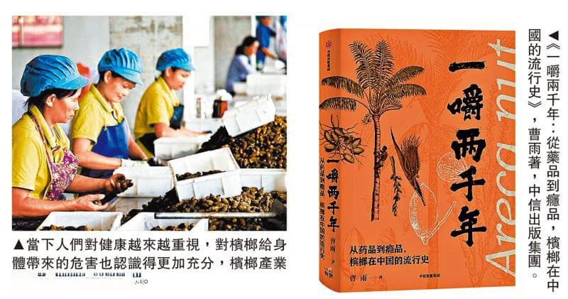 槟榔入华两千年：从贵族奢侈品到现代产业限制