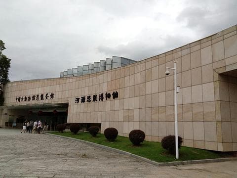 河源市博物馆：穿越时空的文化与自然之旅