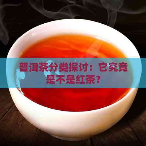 普洱茶属不属于红茶类