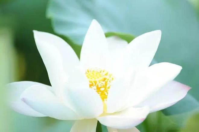 一言一行看人品，一举一动知人格：细节里，藏着你的素养