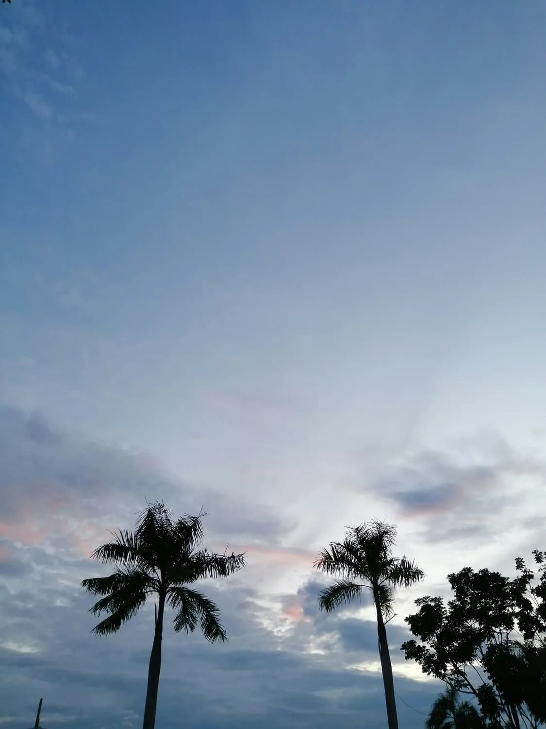 崇左、攀枝花、海南：春节避寒度假最佳选择