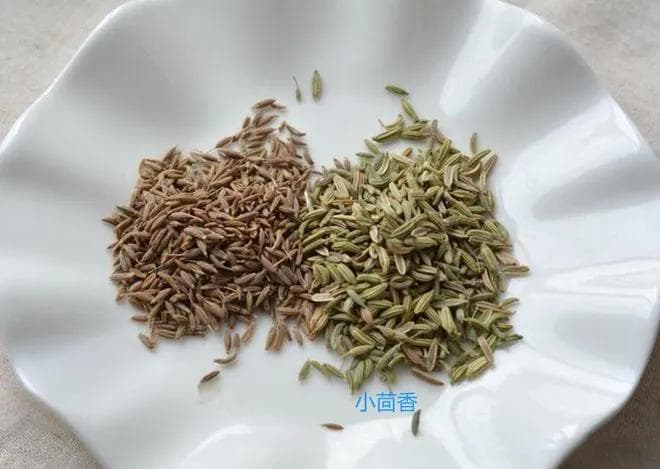 你能分清“孜然”和“小茴香”吗？吃了这么多年，总算分清它俩了