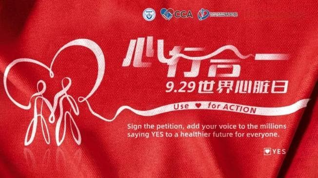 心脏瓣膜病全解析：从病因到术后护理