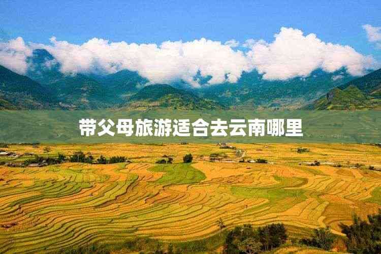 带父母去云南旅游攻略：精选景点与行程规划