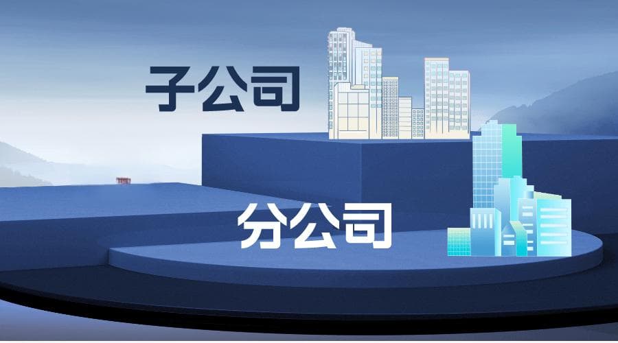 总公司、分公司、子公司投标的有什么不同？