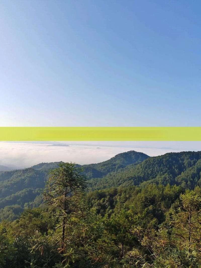 四川巴山大峡谷旅游全攻略：探索自然奇观