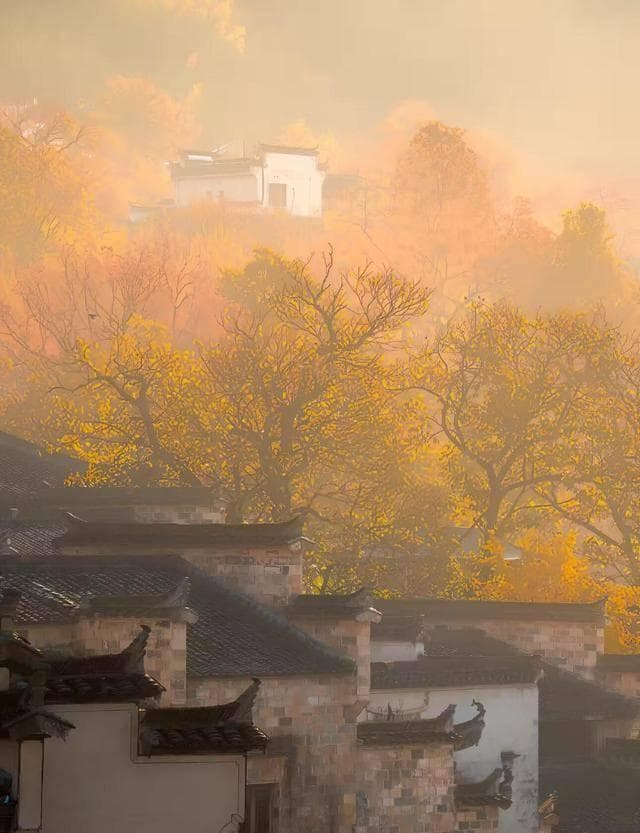 来黄山不要只知道爬山，今年的秋色，这三个地方你一定不能错过