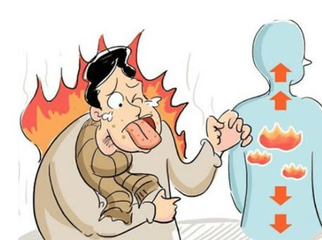 生活百科丨放纵饮食上火怎么办？