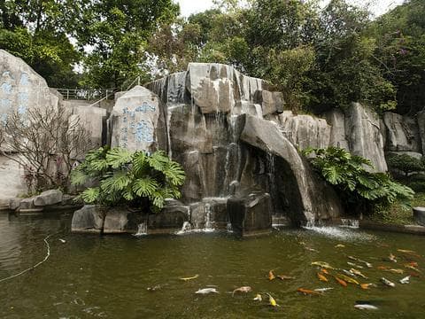 紫马岭公园：中山市的绿色明珠