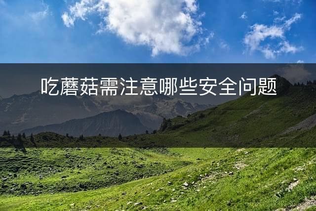 吃蘑菇需注意哪些安全问题？
