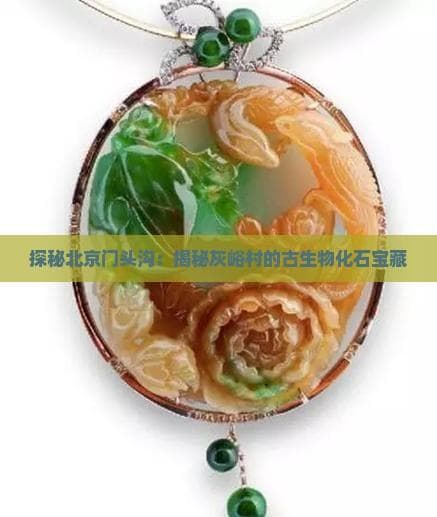 探秘北京门头沟：揭秘灰峪村的古生物化石宝藏